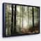 Designart - Light in Dense Fall Forest with Fog - Landscape Art Print Framed Canvas
